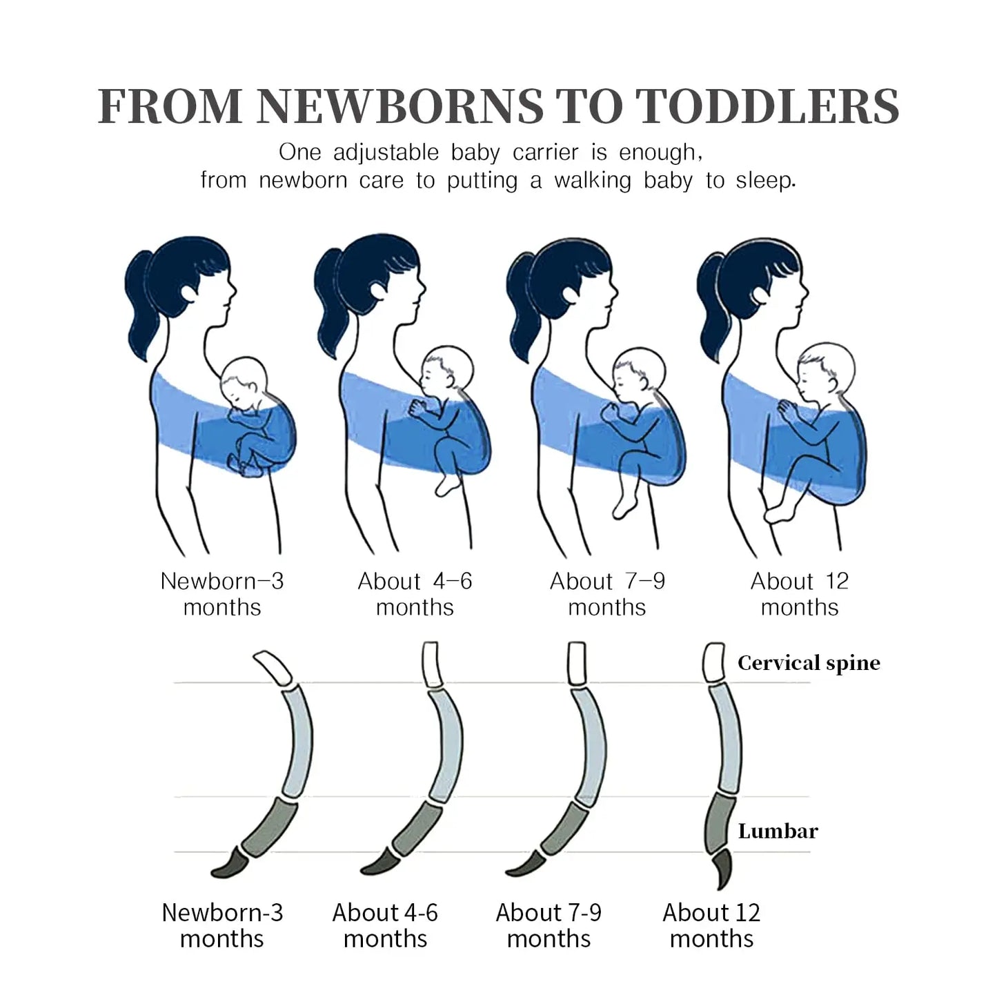 Ceinture Sangle Ergonomique pour Nouveau-Né, Ceinture Ronde Ajustable, pour Bébé de 0 à 24 Mois